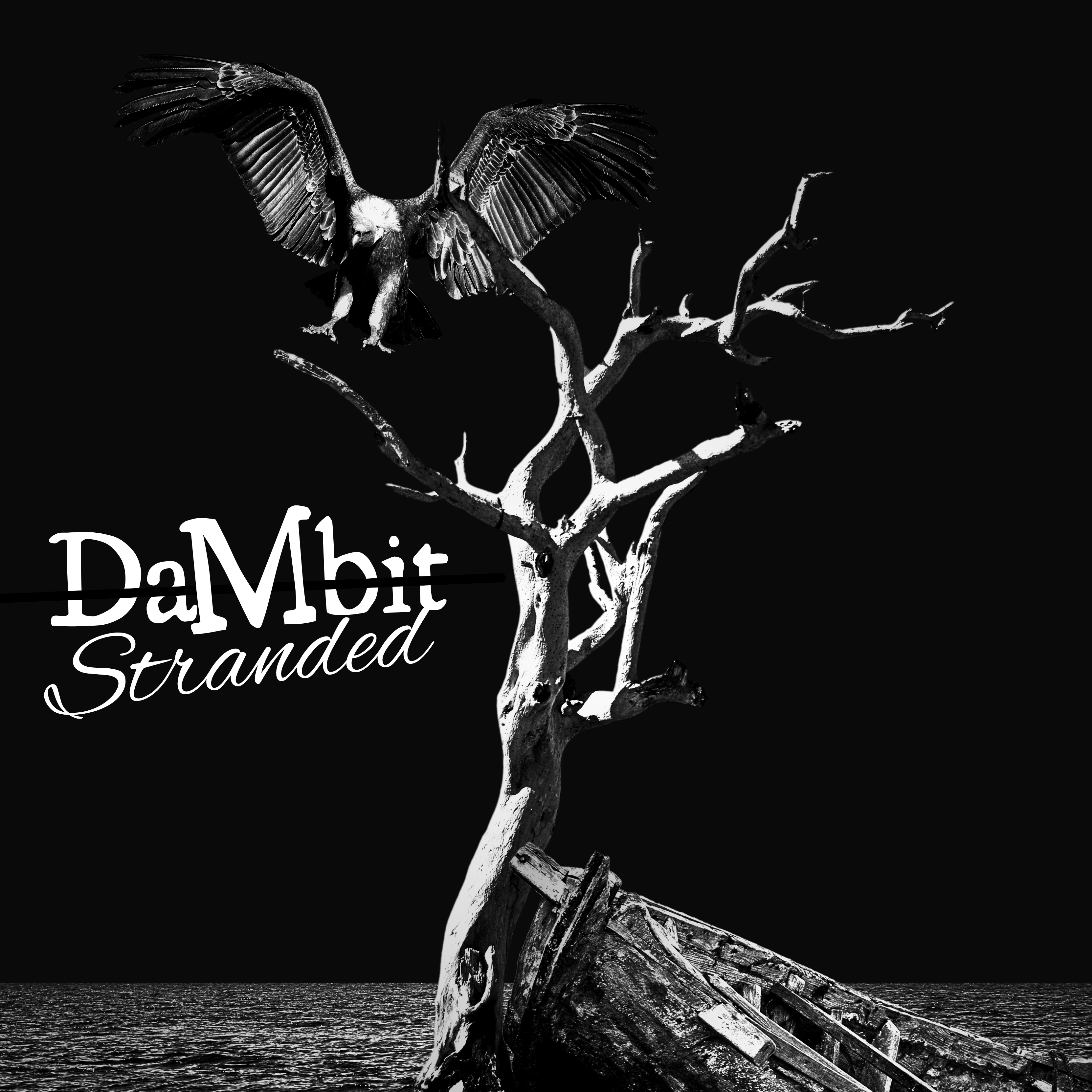 Dambits - Stranded album cover