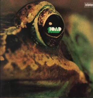 Toad Image 1
