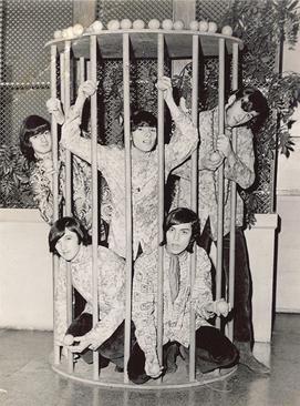 The Tangerine Zoo Image 2